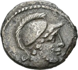 Denar des D. Iunius Brutus Albinus mit Darstellung von zwei Carnyces