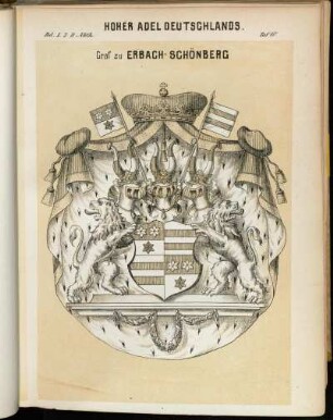 Taf. 10. Graf zu Erbach-Schönberg