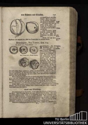 Cap. 104. Kraeenaeuglein, Nux Vomica.