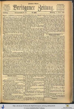 21.10.1894 (Zweites Blatt)