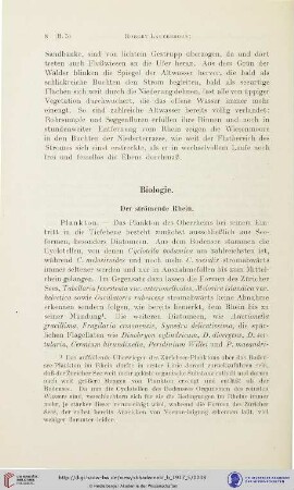 Der strömende Rhein