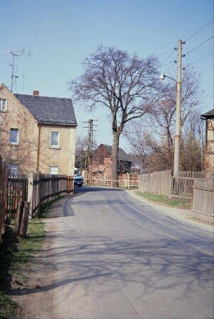 Dorfstraße, Zäune, großer Baum