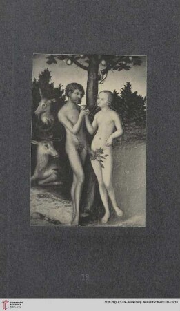 Tafeln 19 - 41