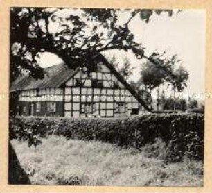 Hohes Venn in Höfen
