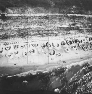 Strand auf Fischland-Darß-Zingst