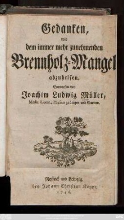 Gedanken, wie dem immer mehr zunehmenden Brennholz-Mangel abzuhelfen
