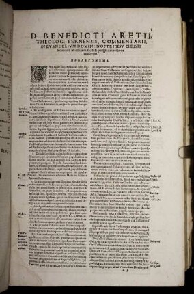 ... Commentarii, In Evangelium Domini Nostri Iesu Christi secundum Matthæum, facili & perspicua methodo conscripti.