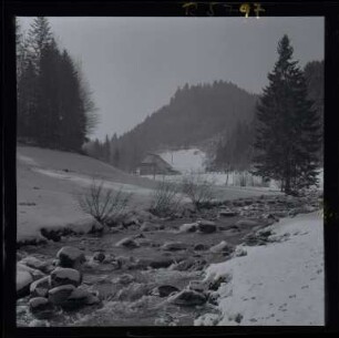 Im Schwarzwald