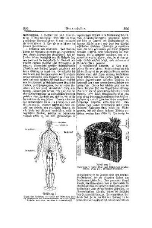 Nervensystem