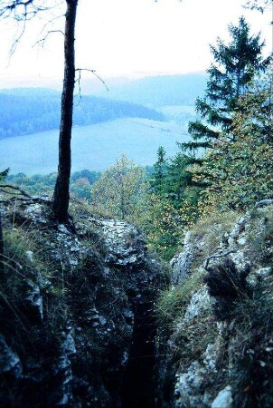 Kammerlöcher zwischen Geraberg und Angelroda