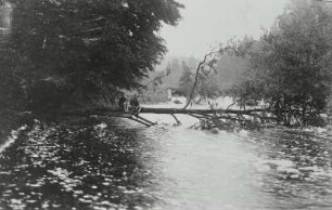 Dresdner Heide. Prießnitz bei Hochwasser oberhalb der Heidemühle. Blick nach Osten gegen das Wehr des Mühlteiches