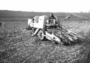 4 reih. Clayson Maisschneidwerk