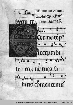 Antifonarium S aus San Domenico, Perugia : Initale E mit anthropomorpher Ornamentik