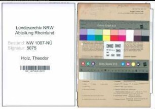 Entnazifizierung Theodor Holz , geb. 30.06.1900 (Fahrer)