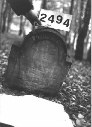 Grabstein 2494