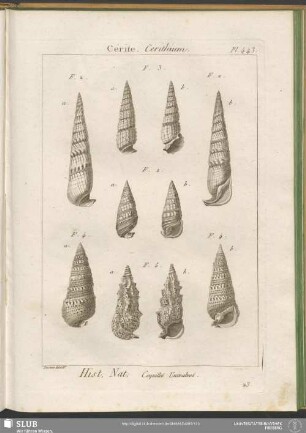 Pl. 443. Cérite. Cerithium