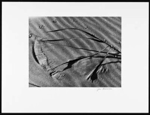 Sønderho. Spuren am Strand