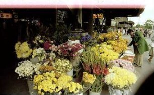 Berlin; West: Blumenstand vor Kranzler