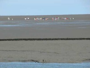 Wattenmeer vor der Nordseeinsel Baltrum : Menschen wandern im Wattenmeer vor der Nordseeinsel Baltrum, aufgenommen 2004