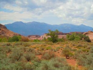 Landschaft in der Gegend der Irish Canyons am Highway 95