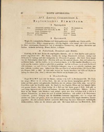 XVI. Laurus Cinnamomum L.