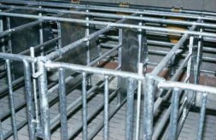 Fotografie: Sauenhaltung, Kastenstand, Vollspaltenboden