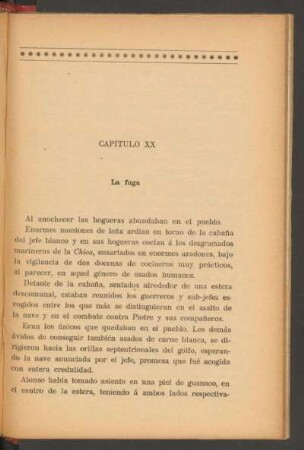 Capítulo XX - La fuga