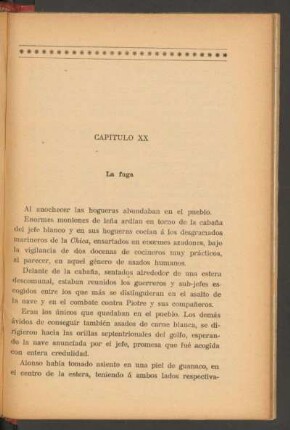 Capítulo XX - La fuga
