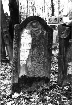 Grabstein 562 (Index: 99753035) Material: Sandstein Zustand: abgeblättert mit großem Textverlust Maße HxBxT: 124x62x13 cm Beschreibung: Stele, Konvexbogenabschluß, Schriftfeld eingetieft: Grabstein 562