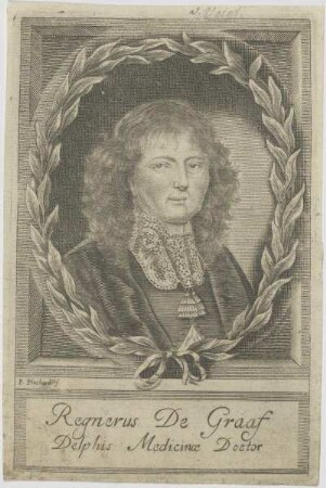 Bildnis des Regnerus de Graaf