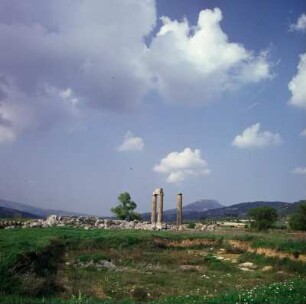 Neméa. Herakles-Heiligtum, Zeus-Tempel. Mitte 4. Jh. v. Chr