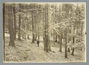 Paar auf einem Waldspaziergang bei Schwarzenberg