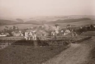 Lengefeld, Herbstbestellung mit Ochsengespann vor der Stadt
