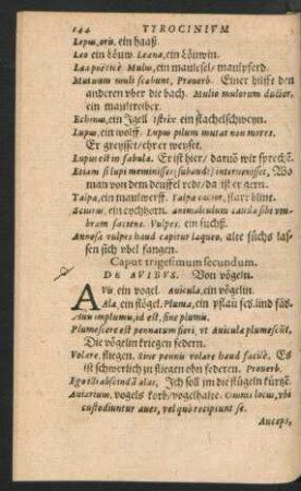 Caput trigesimum secundum. De Avibus.