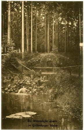 Grillenburg. Warnsdorfer Quelle im Grillenburger Wald