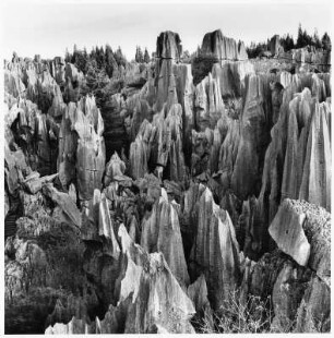 Steinwald, Shilin (China)