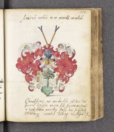 Samuel Tobing. – Incipit: Amicus certus in re incerta cernitur. – Wittenberg, 20.08.1594