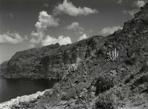Eindrucksvolle Steilküste bei Los Gigantes, Teneriffa