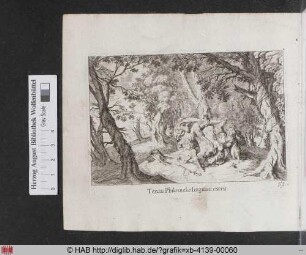 Tercus Philomelae linguam exerit. [Tereus vergewaltigt Philomela im Wald]