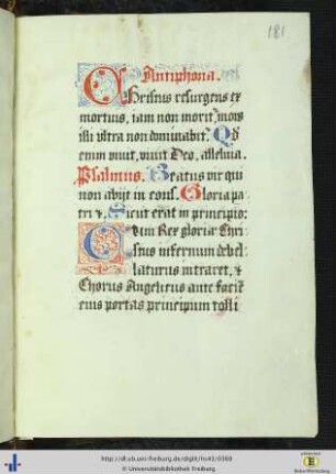 (181r - 182r) 16./17. Jh.: Osterritus.