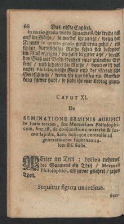 Caput XI. De Seminatione Seminis Aurifici in suam terram, seu Mercurium Philosophicum, hoc est, de coniunctione materiae & formae lapidis ...