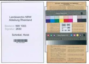 Entnazifizierung Horst Schinkel , geb. 05.03.1911 (Ingenieur)