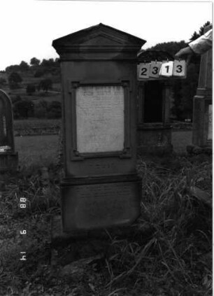 Grabstein 2313 (Index: 100097460) Maße HxBxT: 172x54x25 cm: Grabstein 2313