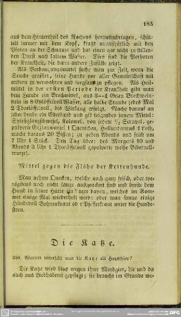 Die Katze