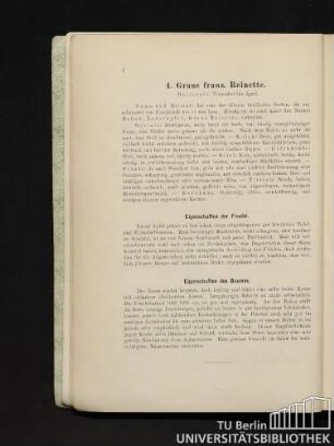 4. Graue franz. Reinette.
