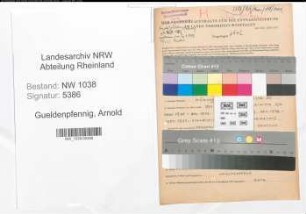 Entnazifizierung Arnold Gueldenpfennig , geb. 18.09.1909 (Ingenieur)