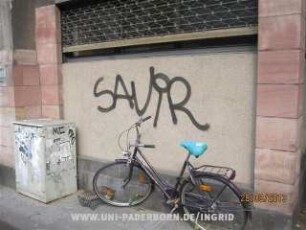 SAViR