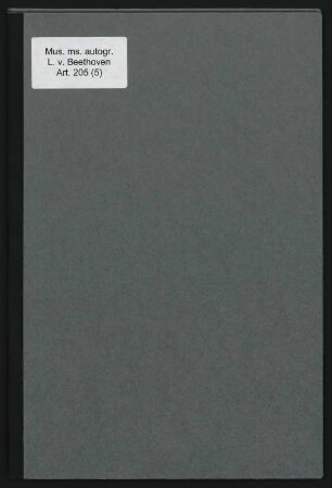 Sinfonien. Skizzen; d-Moll; op.125