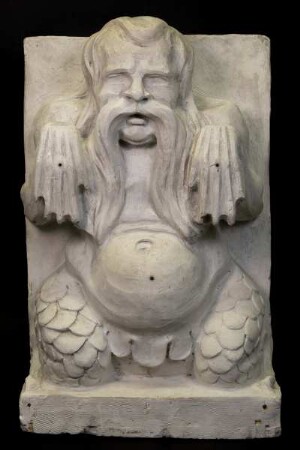 Sternzeichen Wassermann