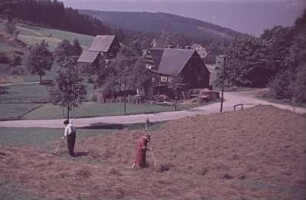 Bauern beim Heuwenden